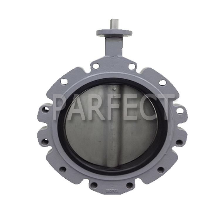 Butterfly Valve Casting-Resin Sand Casting-Sand Casting-04