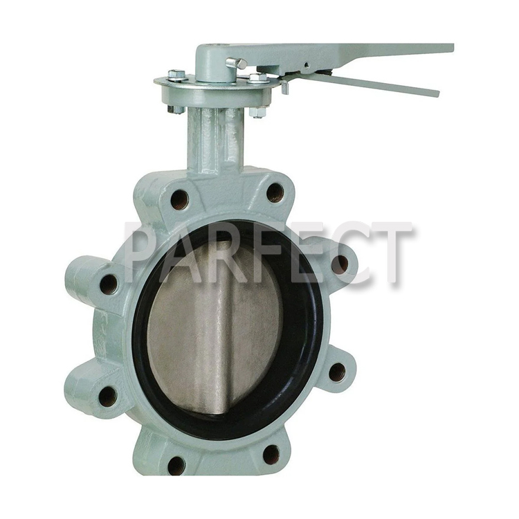 Butterfly Valve Casting-Resin Sand Casting-Sand Casting-06