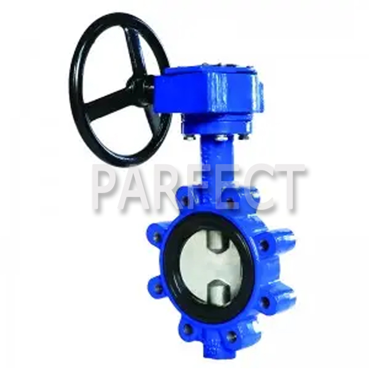 Butterfly Valve Casting-Resin Sand Casting-Sand Casting-11