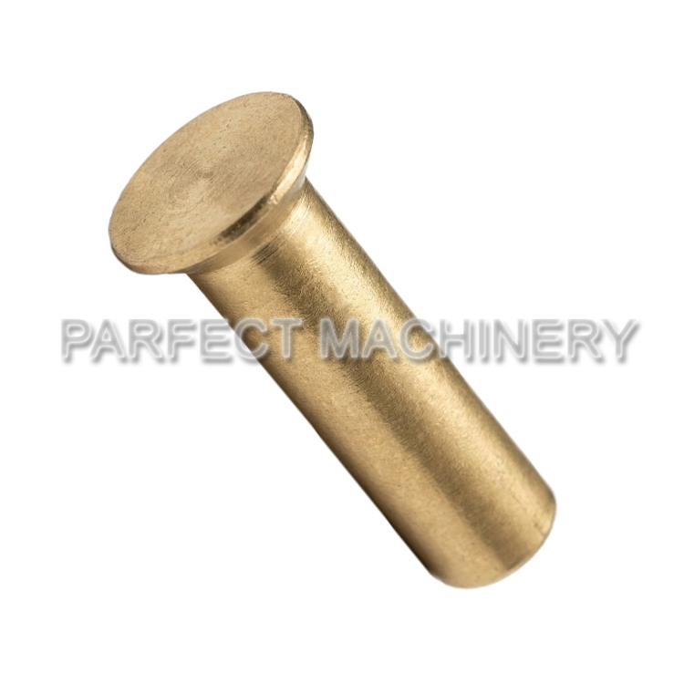 brass rivet-cold headed brass part-cold forging 02