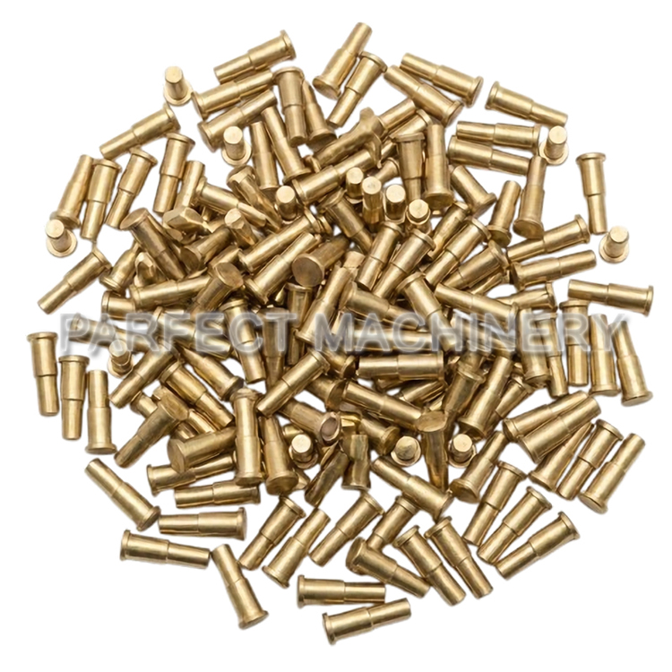 brass rivet-cold headed brass part-cold forging 11