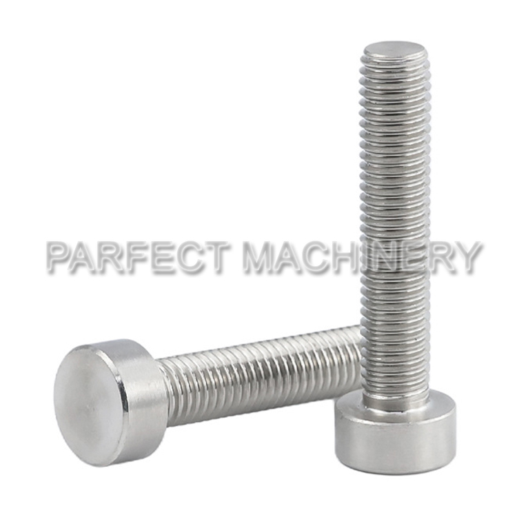 stainless steel bolt screw-cold headed stainless steel part-cold forging 09