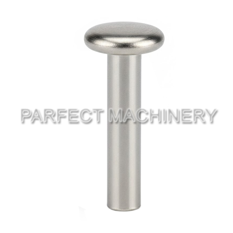 stainless steel rivet-cold headed stainless steel part-cold forging 01