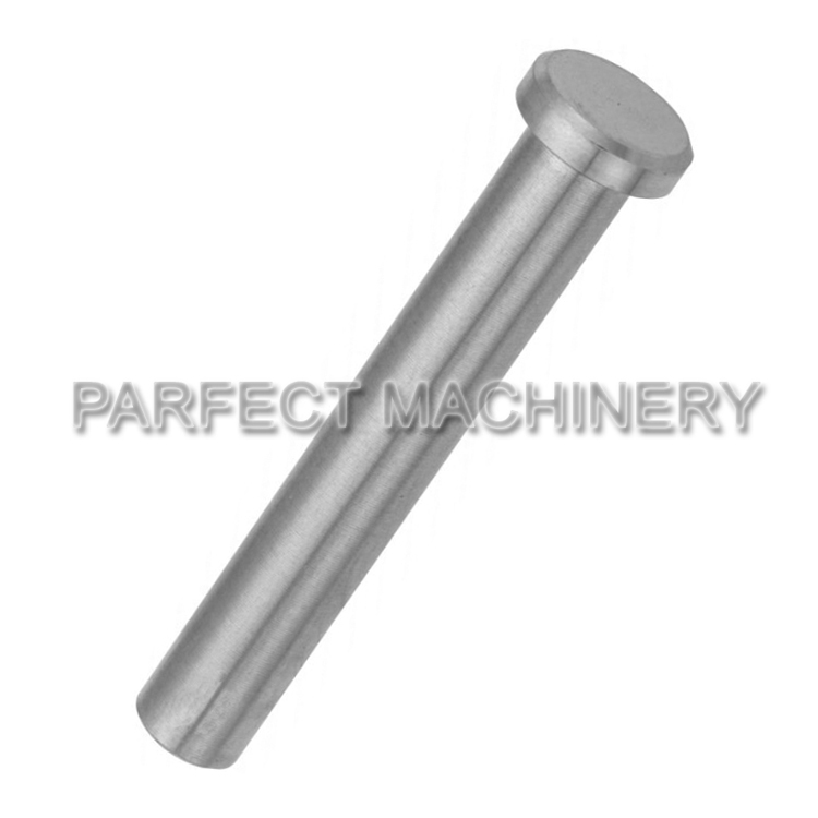 stainless steel rivet-cold headed stainless steel part-cold forging 03
