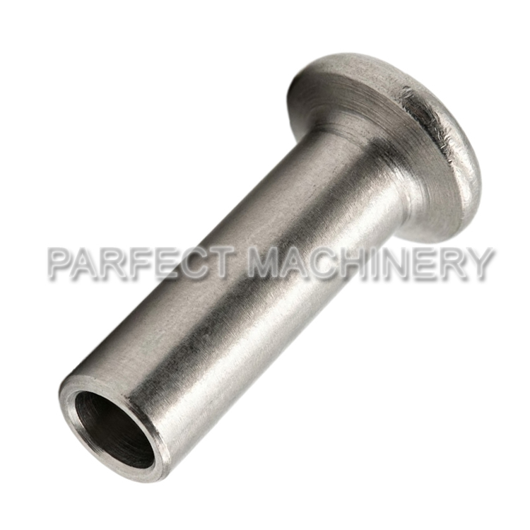 stainless steel rivet-cold headed stainless steel part-cold forging 05