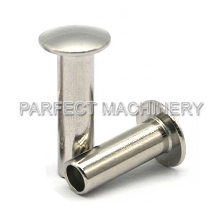 stainless steel rivet-cold headed stainless steel part-cold forging 06