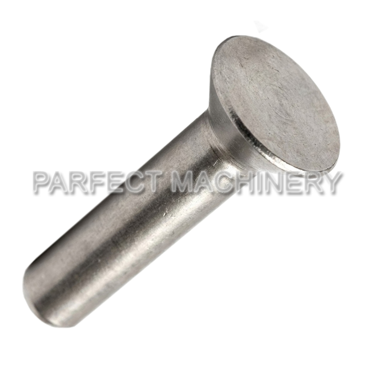 stainless steel rivet-cold headed stainless steel part-cold forging 07