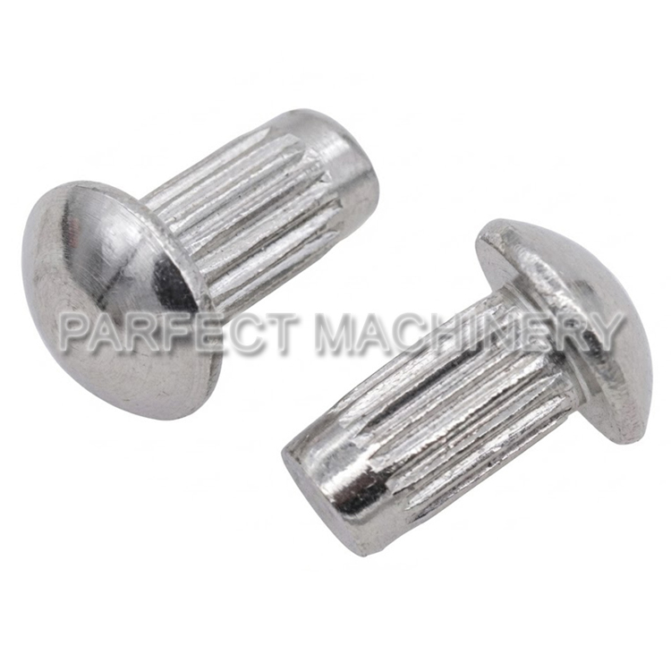 stainless steel rivet-cold headed stainless steel part-cold forging 12