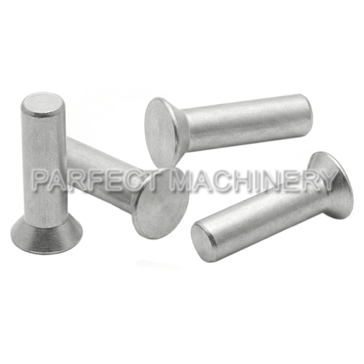 aluminum rivet-cold headed aluminum part-cold forging 04